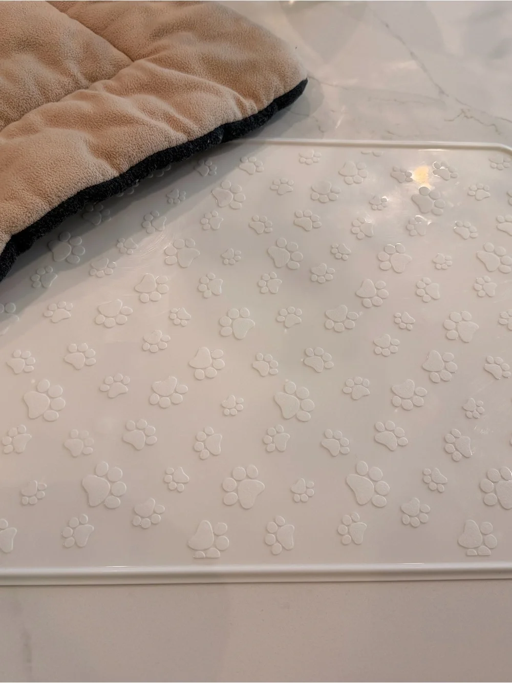 Mint Elevated Pet Bowl Set with Pet Placement Mat and Padded Mat for SmallKennel